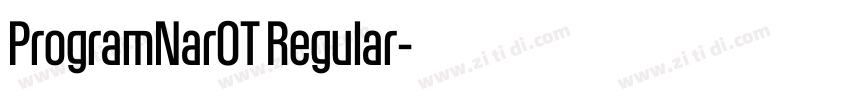 ProgramNarOT Regular字体转换
